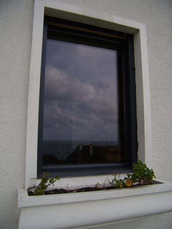 Fen�tre 1 vantail Aluminium Gris Anthracite